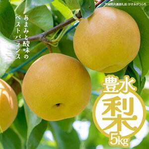 �y�ӂ邳�Ɣ[�Łz�L�� ��5kg�i��錧���ʕԗ�i�F�����݂�����s�j �y2026�N9����{�����J�n�z �� ���ʌ��� �Ȃ� �i�V �t���[�c �ʕ� �{ �Y�n����