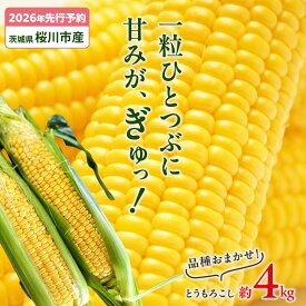 【ふるさと納税】【2026年先行予約】桜川市産 とうもろこし 品種おまかせ 約4kg おおもの ゴールドラッシュ おひさまコーン