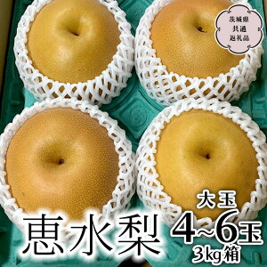 yӂ邳Ɣ[Łzs s\ t b 3kg 4`6 (錧ʕԗi 闢) 2025N9{甭Jn  Ȃ a t[c Â IWi    
