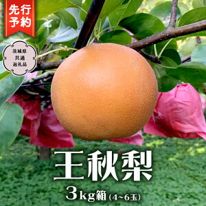 yӂ邳Ɣ[Łzs s\ tH 3kg  4ʁ`6 ( 錧ʕԗi 闢 ) 2025N11{甭Jn  Ȃ a t[c Â  NX}X    