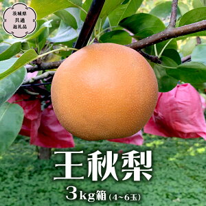 yӂ邳Ɣ[Łzs s\ tH 3kg  4ʁ`6 ( 錧ʕԗi 闢 ) 2025N11{甭Jn  Ȃ a t[c Â  NX}X    