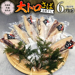 yӂ邳Ɣ[Łz gΕ 1^ 6pbN i錧ʕԗi _sj To  CN Mtg j i ^ ϔ _snYi