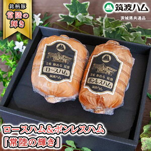 yӂ邳Ɣ[Łzs l Ήi t }gn [Xn 500g {Xn 400g w헤̋Px 錧Y uh  ( 錧ʕԗi ) n  ؓ  