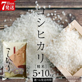 【ふるさと納税】《 生活応援価格 》《 令和7年産 》 コシヒカリ 精米 5kg ～ 10kg ( 選べる 内容量・発送時期 ) (茨城県共通返礼品 かすみがうら市) 新米 米 ごはん もっちり 甘い コメ お米 白米 銘柄米