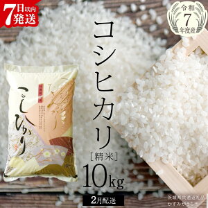 yӂ邳Ɣ[Łzs i ts ߘa7NY t RVqJ  5kg ` 10kg ( Iׂ eʁE ) (錧ʕԗi ݂s) V  ͂  Â R  