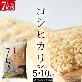 【ふるさと納税】《 生活応援価格 》《 令和7年産 》 コシヒカリ 玄米 5kg ～ 10kg ( 選べる 内容量・発送時期 ) ( 茨城県共通返礼品 かすみがうら市 ) 新米 米 ごはん もっちり 甘い コメ お米 玄米 銘柄米