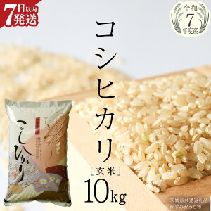 【ふるさと納税】《 生活応援価格 》《 令和7年産 》 コシヒカリ 玄米 5kg 〜 10kg ( 選べる 内容量・発送時期 ) ( 茨城県共通返礼品 かすみがうら市 ) 新米 米 ごはん もっちり 甘い コメ お米 玄