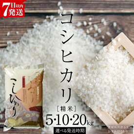 【ふるさと納税】《スピード出荷 7営業日以内出荷 》 コシヒカリ 精米 5kg 10kg 20kg ( 選べる 内容量・定期便・発送時期 ) こしひかり 令和7年産 スピード発送 早い 米 ごはん もっちり 甘い コメ お米 白米 銘柄米 (茨城県共通返礼品 かすみがうら市)