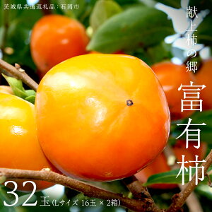 yӂ邳Ɣ[Łzs Iׂ ʐ t `̋ xL` 16 32 ( LTCY 16 × 1`2 ) ( 錧ʕԗi Ήs) 2025N11{Jn ʌ ʕ  t[c `