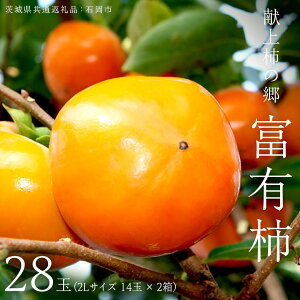 yӂ邳Ɣ[Łz`̋ xL` 28 ( 2LTCY 14 × 2 ) ( 錧ʕԗi Ήs ) 2025N11{Jn ʌ ʕ  t[c `