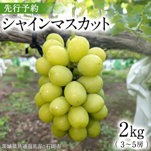 yӂ邳Ɣ[Łzs Iׂ e t y2025N9{Jnz VC}XJbg 1.2kg 1.5kg 2kg ( 錧ʕԗi Ήs ) ʌ t[c ʕ }XJbg Ԃǂ  uhE { 