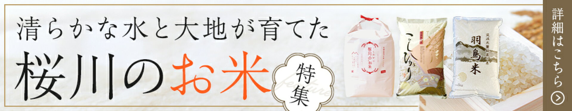 茨城県桜川市　お米特集