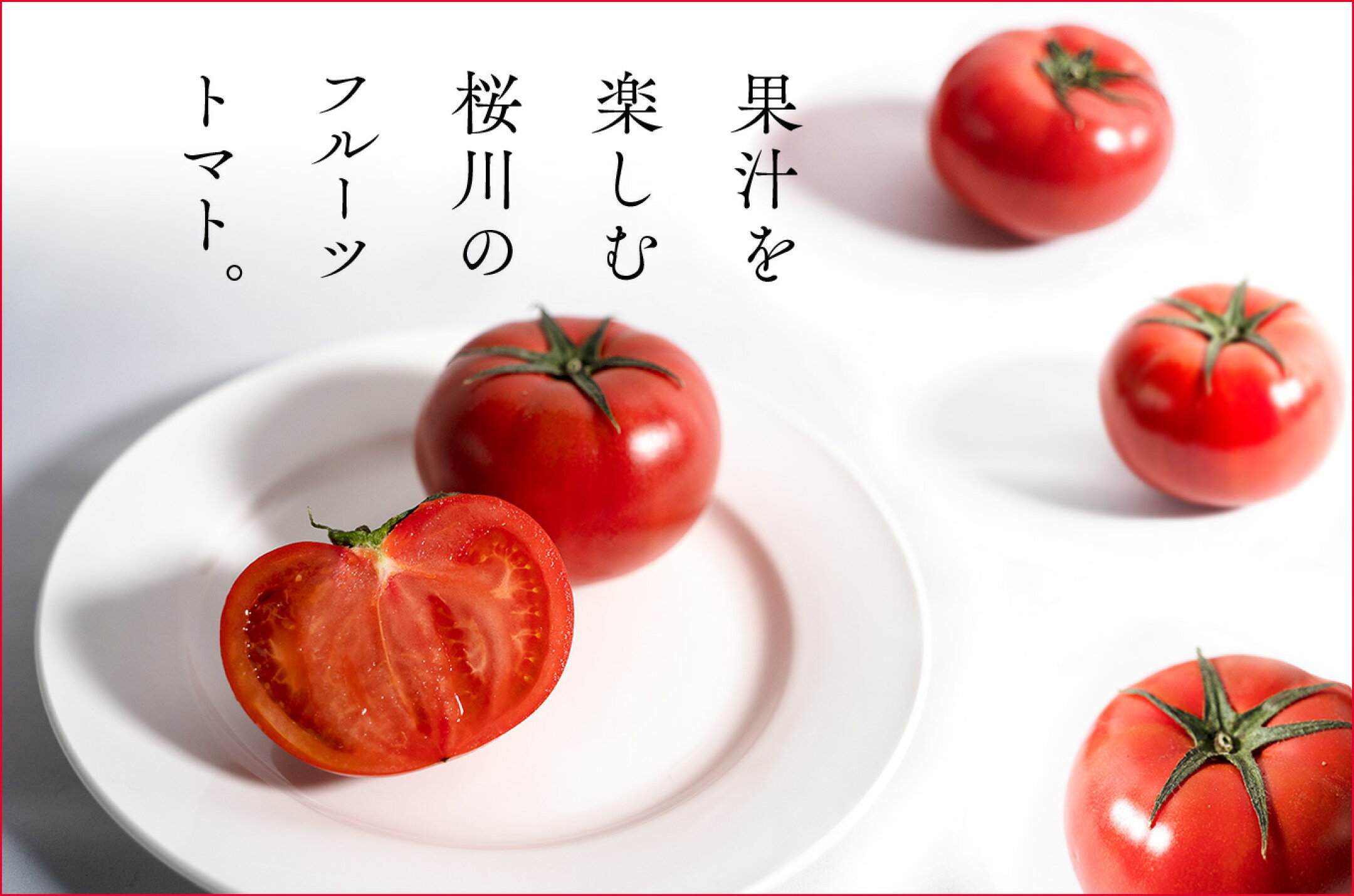 茨城県桜川市 トマト