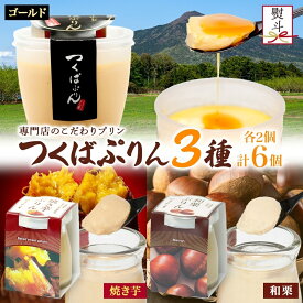 【ふるさと納税】無地熨斗 ゴールドぷりん ＆ 焼き芋ぷりん ＆ 和栗ぷりん 各2個 計6個 つくばぷりん プリン ぷりん 焼き芋 焼きいも 焼きイモ いも 和栗 くり クリ 栗 スイーツ 洋菓子 おやつ 和スイーツ 冷菓 デザート 人気 グルメ お取り寄せ ギフト 送料無料 ふじ屋