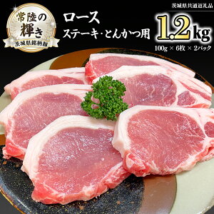 yӂ邳Ɣ[Łz錧 u헤̋Pv Xe[L E Ƃ񂩂 p [X 1.2kg ( 100g × 6 × 2 pbN ) (錧ʕԗi)  uh O ؓ  Ⓚ