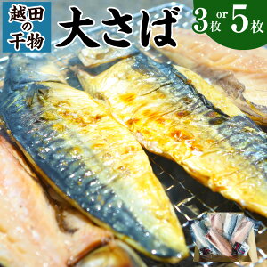 yӂ邳Ɣ[ŁzIׂeʁ zc̊ 傳 3 ܂ 5 Zbg  I    To  _s 錧  yVX[p[SALE 9J