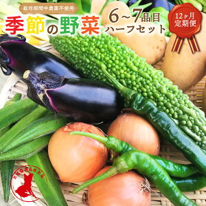 yӂ邳Ɣ[Łzy12ցz y錧ʕԗizG߂̖؃n[tZbg 6`7i  { R͔| ͔|Ԓ_sgp lߍ킹 錧 _s  yVX[p[SALE 9J