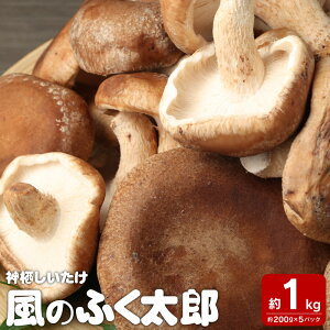 yӂ邳Ɣ[Łz_s  ̂ӂ낤 1kg 200g×5 ̂ ő ۏ 錧 _s  yVX[p[SALE 9J