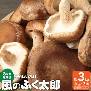 yӂ邳Ɣ[Łz3 _s  ̂ӂ낤 3kg 1kg ( 200g×5 )× 3 ̂ ő ۏ 錧 _s  yVX[p[SALE 9J