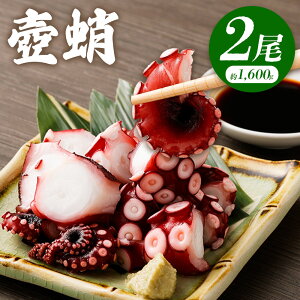 yӂ邳Ɣ[ŁzywK{z 2 1600g 1.6kg ^R     CN ① 錧 _s  ォ20ȍ~ł̂]̂͂KLڂ y