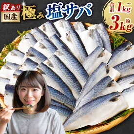 【ふるさと納税】＜選べる内容量＞訳あり 国産ふっくら 極み塩サバ 1切れ約50～150g 約1kg 約2kg 約3kg さば 鯖 魚 さかな サカナ 魚介類 味付け済 焼くだけ 簡単調理 冷凍 国産 茨城県 神栖市 送料無料