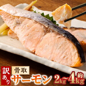 yӂ邳Ɣ[ŁzIׂeʁ󂠂 T[ijT[j 2kg 3kg 4kg AgeBbNT[   TP   Y `Y Ⓚ 錧 _s 