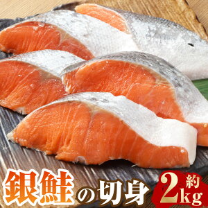 yӂ邳Ɣ[ŁzՂ ̐ؐg 2kg   TP T[   Y `Y Ⓚ 錧 _s  yVX[p[SALE 9J