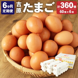 【ふるさと納税】 ＜6ヶ月定期便＞濃厚プレミアム 吉原たまご 2箱 30個×2箱 60個入り 6回 合計360個 卵 玉子 生卵 鶏卵 定期便 茨城県 神栖市 送料無料