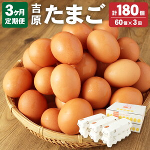 yӂ邳Ɣ[Łz 3ցZv~A g܂ 2 30×2 60i54{ۏ6j 3 v180  ʎq  {  錧 _s  yVX[p[SALE 9