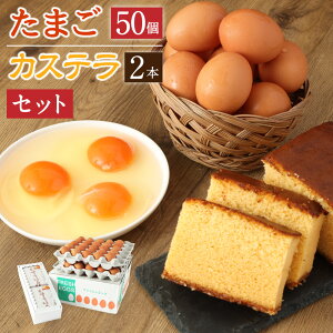 yӂ邳Ɣ[ŁzgʎqJXeZbg ܂50i45{ۏ5jn[tTCY2  ʎq {  ① P[L mَq َq p JXe  _s 錧 錧 