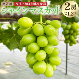 【ふるさと納税】贈答用 シャインマスカット 2房 合計約1.2kg ギフト 果物 フルーツ 葡萄 ぶどう ブドウ 冷蔵 茨城県 神栖市 送料無料【2026年8月下旬～2026年9月上旬まで順次発送予定】