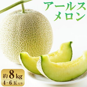 yӂ邳Ɣ[ŁzA[X 8kg 4`6  ʕ t[c 錧 _s y2025N10{蔭Jnz yVX[p[SALE 9J