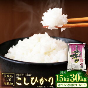 yӂ邳Ɣ[ŁzIׂցyߘa7NY Vāz錧YЂ āi錧ʕԗiE헤csYj 1񂠂5kg 1 3 6 Ђ RVqJ    