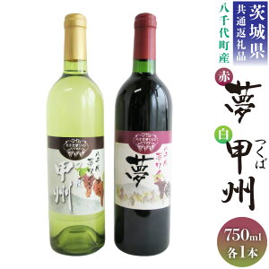 yӂ邳Ɣ[Łz錧ʕԗi 㒬 㖲 CV[Y  ԃC ΍bB C 2{ Zbg e750ml YC ݔ 錧 _s 