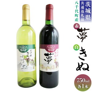 yӂ邳Ɣ[Łz錧ʕԗi 㒬 㖲 CV[Y  ԃC  C 2{ Zbg e750ml YC ݔ 錧 _s  yVX[p[SALE 9J