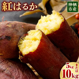 【ふるさと納税】〈選べる容量〉“熟成”神栖市産さつまいも（紅はるか） 約5kg 約10kg さつまいも サツマイモ さつま芋 芋 いも 野菜 茨城県 神栖市 送料無料