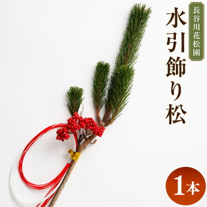 yӂ邳Ɣ[Łz 菼 1{ 100cmO    A ϗtA CeA   錧 _s y2025N10{`2026N3{\z