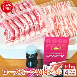 yӂ邳Ɣ[Łzy錧ʕԗiz[Y|[NēZbg ؓ    [X o ^t Ă o[xL[ BBQ 錧 _s  yVX[p[SALE 9J