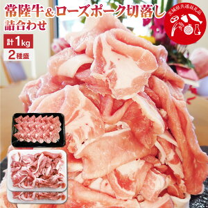yӂ邳Ɣ[Łzy錧ʕԗiz헤&[Y|[Nؗl킹 v1kg   r[t ؓ    ϕ uߕ  g؂ 錧 _s  yVX[p[SALE 9