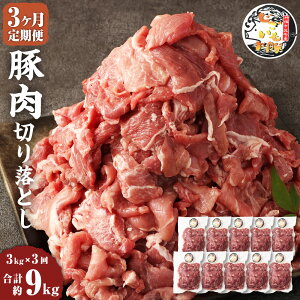 yӂ邳Ɣ[Łzy3ցz̓ ؓ ؂藎Ƃ 3kg 300g×10pbN v9kg  Y  錧 _s Ⓚ  yVX[p[SALE 9J