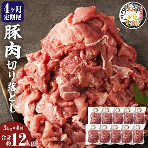 yӂ邳Ɣ[Łzy4ցz̓ ؓ ؂藎Ƃ 3kg 300g×10pbN v12kg  Y  錧 _s Ⓚ  yVX[p[SALE 9J