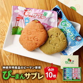 【ふるさと納税】神栖市特産品 ピーマン使用 ぴーまんサブレ 10枚 菓子 洋菓子 スイーツ 焼き菓子 神栖市 茨城県 送料無料