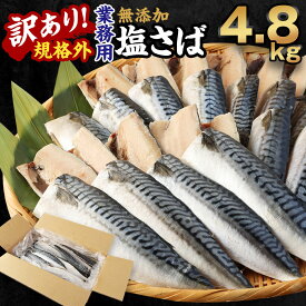 【ふるさと納税】＜選べる＞訳あり 規格外 業務用 無添加 塩さば 1kg 1.5kg 1.9kg 3kg 4.8kg 鯖 サバ さば 魚 国内加工 冷凍 茨城県 神栖市 送料無料