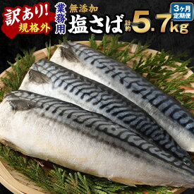 【ふるさと納税】＜選べる定期便＞訳あり 規格外 業務用 無添加 塩さば 1.9kg 鯖 サバ さば 魚 国内加工 冷凍 茨城県 神栖市 送料無料