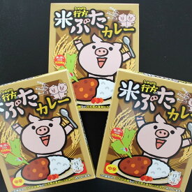 【ふるさと納税】CU-16 行方の米ぶたカレー（中辛）3個　茨城県産　行方市産　米豚使用　カレー3個　中辛　送料無料　非常食に。