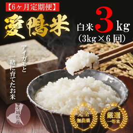 【ふるさと納税】令和5年産【6ヵ月定期便】アイガモと一緒に育てたお米「愛鴨米・白米」3kg×6回｜L-15