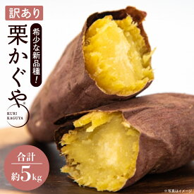 【ふるさと納税】【訳あり】行方かんしょ「行方の黄福（栗かぐや）」さつまいも約5kg（洗い・不揃い・C品）｜茨城県 行方市 ふるさと納税 芋 野菜 栗かぐや(AE-150)