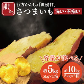 【ふるさと納税】【2025年11月下旬より順次発送】【選べる】【訳あり】行方かんしょ「紅優甘」さつまいも 約5kg or 約10kg(洗い・不揃い)｜さつまいも サツマイモ さつま芋 お芋 紅優甘 行方かんしょ 訳あり わけあり 訳アリ 茨城県 行方市(AE-94)