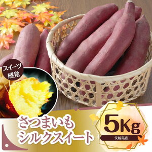 yӂ邳Ɣ[Łz܂@IVNXC[g 5kgb܂   VNXC[g ^l̃nVg 錧 ss(BS-1)