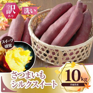 yӂ邳Ɣ[Łzy󂠂z܂@VNXC[g 10kgb܂   킯 󂠂 VNXC[g ^l̃nVg 錧 ss(BS-22)